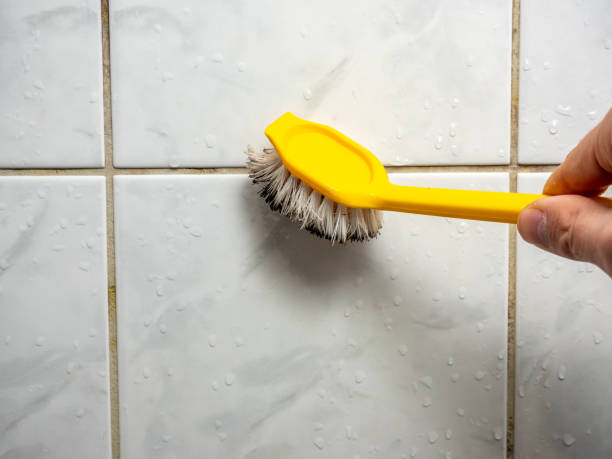Towson, MD Mold Remediation Company